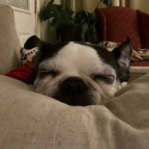 Meet your Posher, Paul